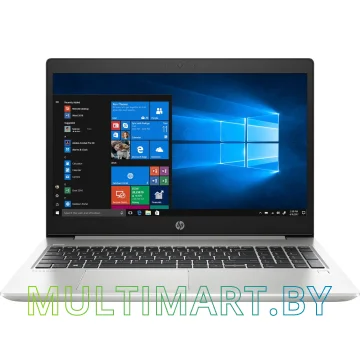 Ноутбук HP ProBook 455 G7 (1L3U0EA)